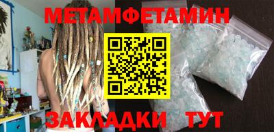 прущие грибы Кингисепп